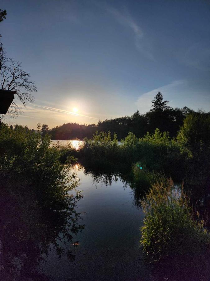 Campbell River Lodge Экстерьер фото