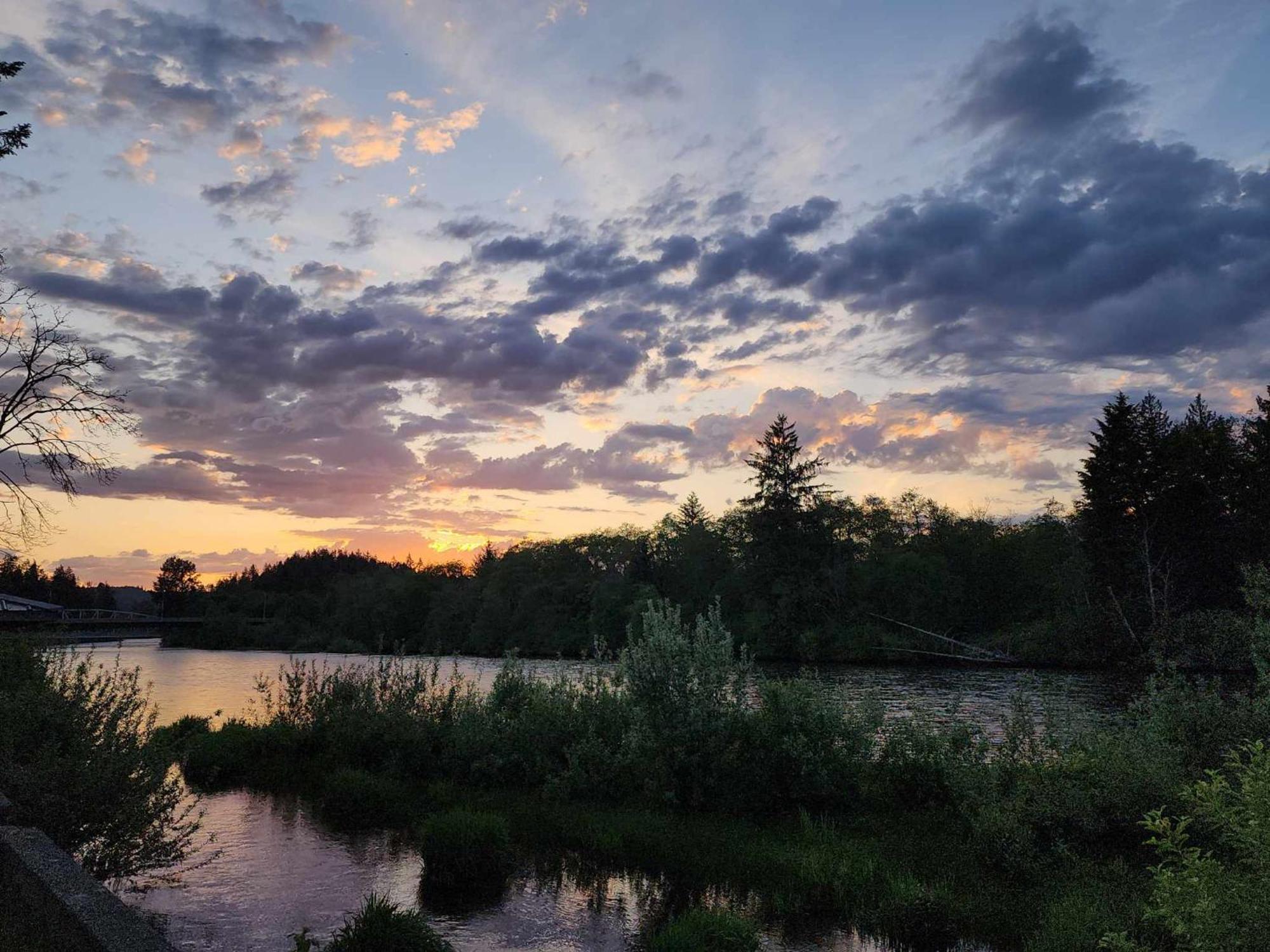 Campbell River Lodge Экстерьер фото